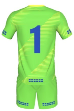 Holistic Football Coaching - Goalkeeper Kit (JERSEY)