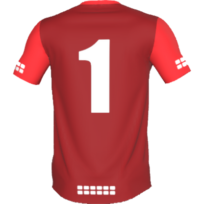 Invictus Development Centre TRU 433 Goalkeeper Away Jersey *Required*