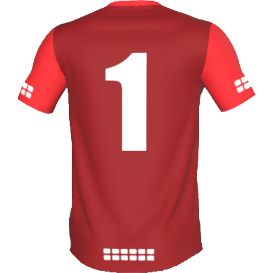 Invictus Development Centre TRU 433 Goalkeeper Away Jersey *Required*