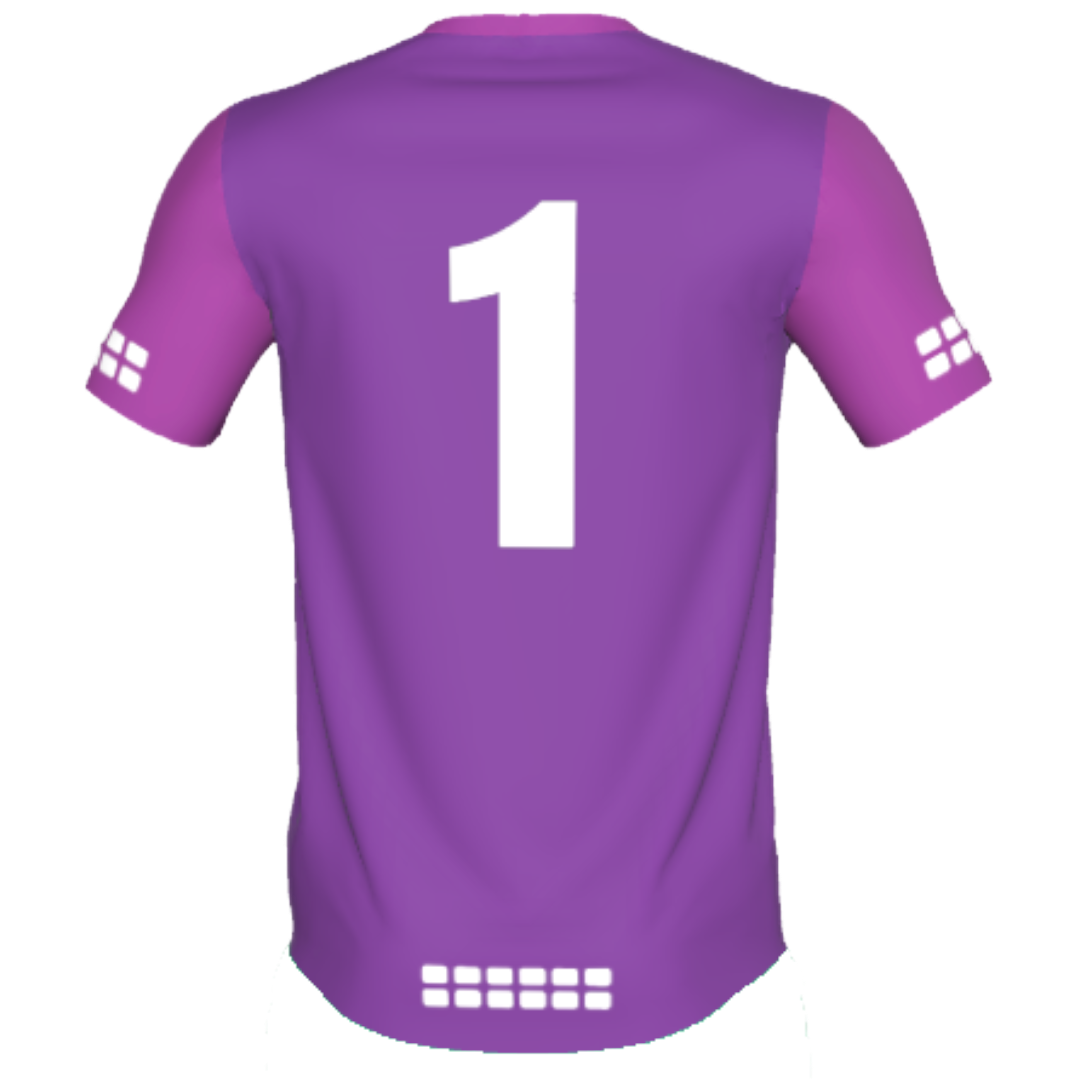 Vermont ODP - TRU 433 Goalkeeper Home Jersey (Purple/Violet)