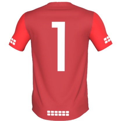 Young Bucks FC - TRU 433 Goalkeeper Jersey (Brick Red/Red)